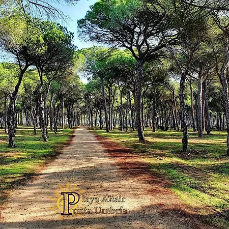 Apartment Vivienda Turistica Playa Altair *
