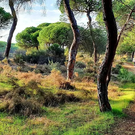Vivienda Turistica Playa Altair شقة *